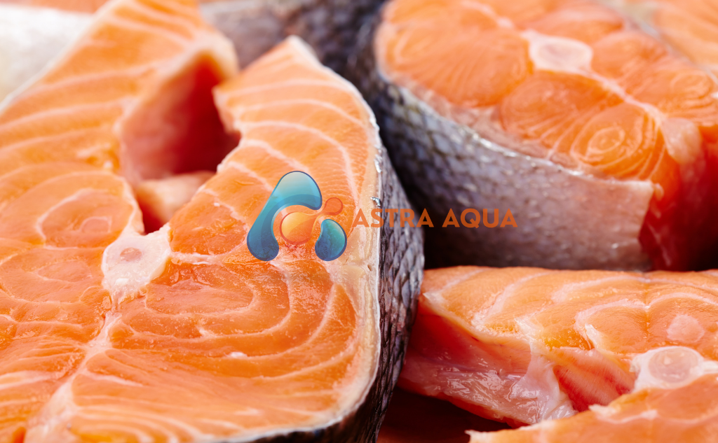 Cá  Hồi Cắt Khoanh 