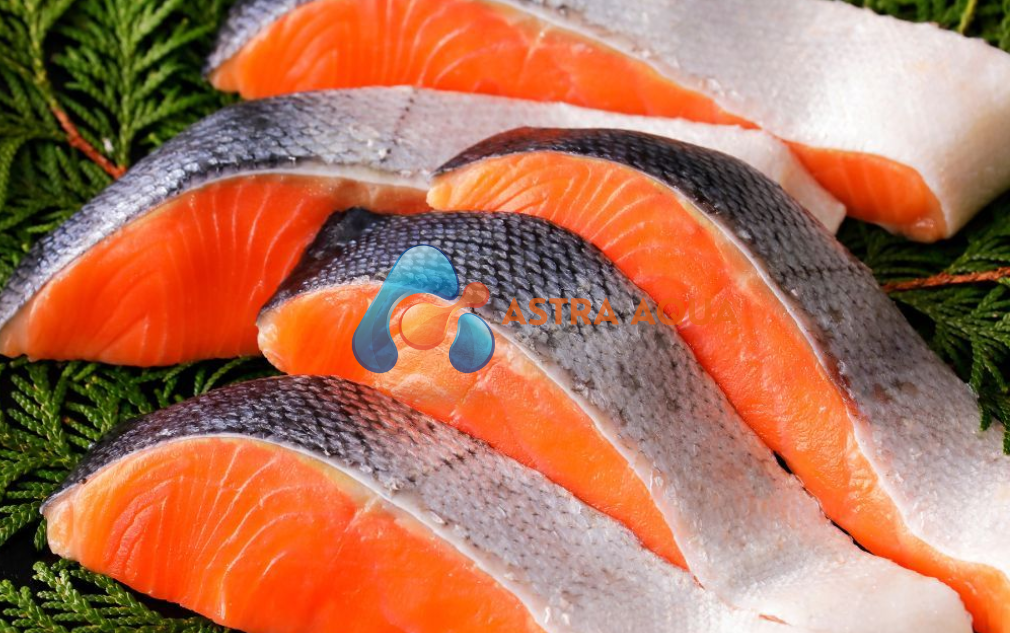 Cá hồi cắt miếng kirimi 