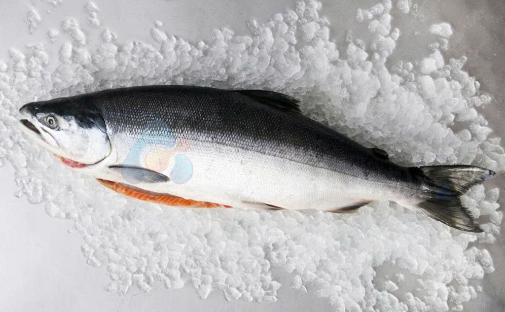 Cá hồi nguyên con đông lạnh 