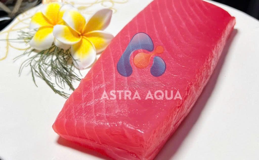 Cá Ngừ Đại Dương - Saku