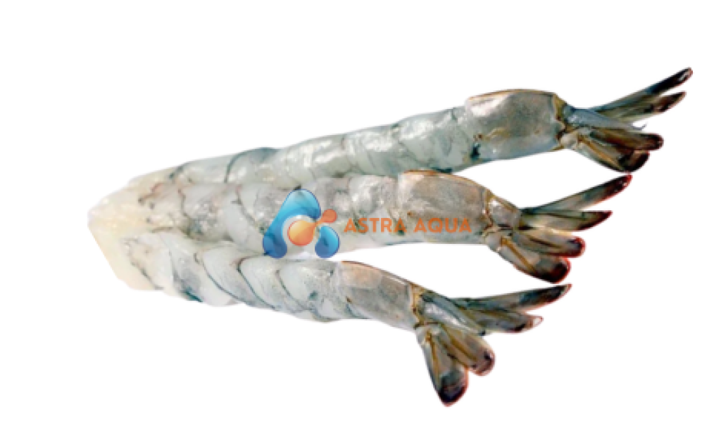 Tôm thẻ chân trắng lột vỏ, kéo dãn, còn đuôi 