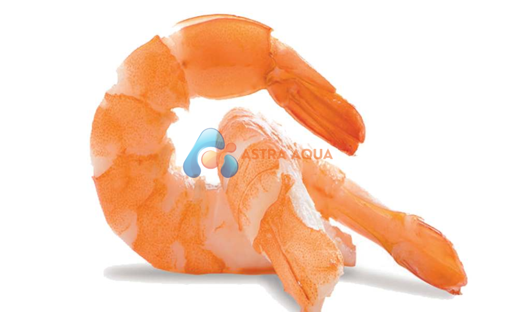 Tôm thẻ chân trắng hấp chín 