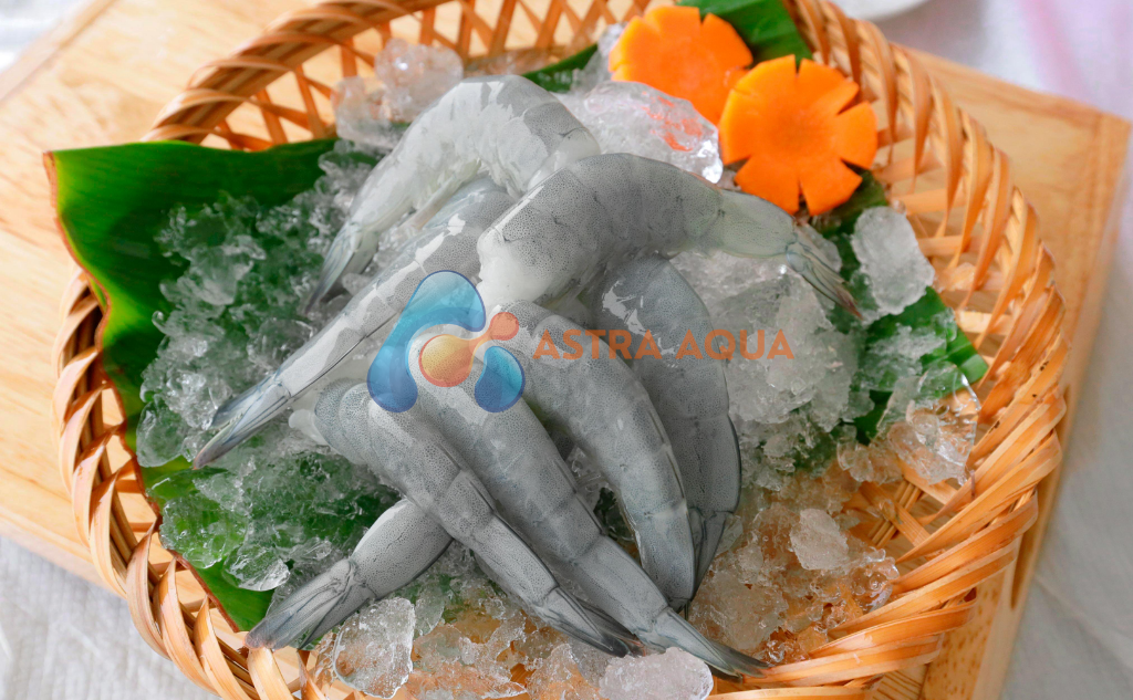 Tôm thẻ chân trắng HLSO