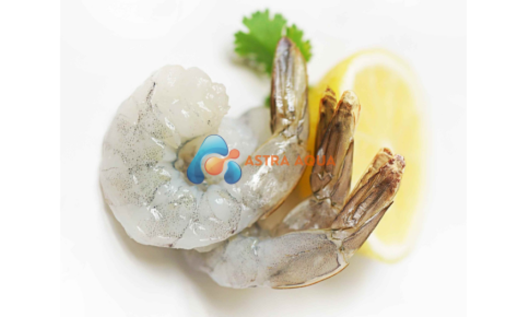 Tôm thẻ chân trắng lột vỏ, còn đuôi 