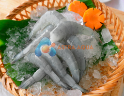 Tôm thẻ chân trắng HLSO