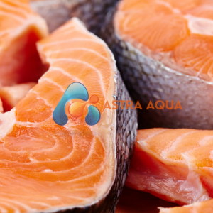 Cá  Hồi Cắt Khoanh 