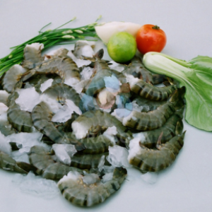 Tôm Sú Nguyên Con HLSO