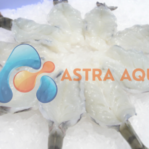 Tôm sú xẻ bướm 