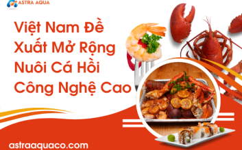 Việt Nam đề xuất mở rộng nuôi cá hồi công  nghệ cao