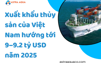 Xuất khẩu thủy sản của Việt Nam hướng  tới 9–9.2 tỷ USD năm 2025