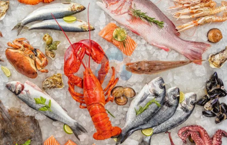 Other Fish