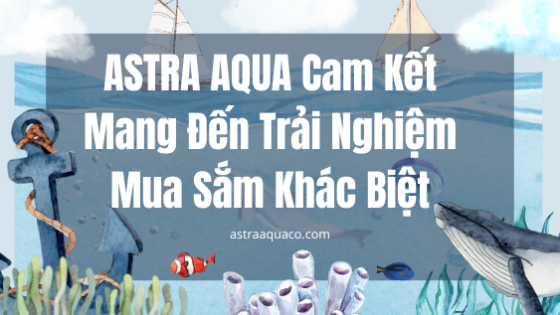 ASTRA AQUA Cam Kết Mang Đến Trải Nghiệm Mua Sắm Khác Biệt