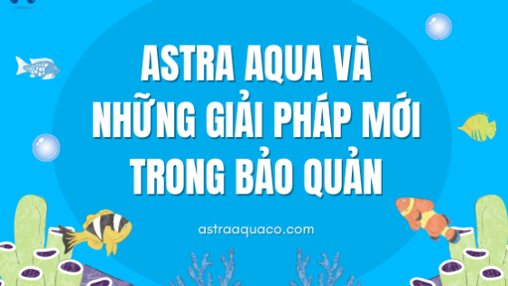 ASTRA AQUA Và Những Giải Pháp Mới Trong Bảo Quản