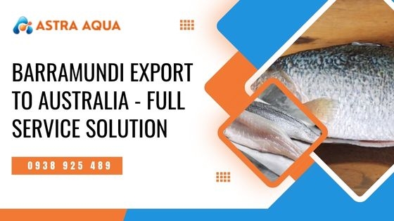 Xuất khẩu cá chẽm sang Úc - Giải pháp trọn gói