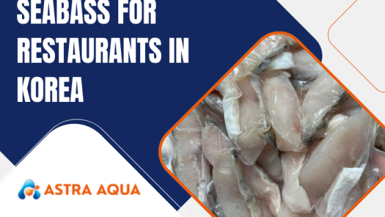 Cá chẽm cho các nhà hàng ở Hàn Quốc