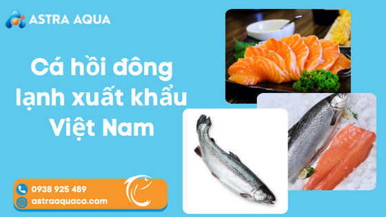 Cá hồi đông lạnh xuất khẩu Việt Nam