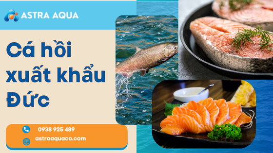 Cá hồi xuất khẩu Đức