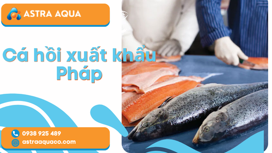Cá hồi xuất khẩu Pháp