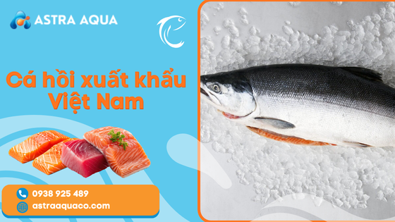 Vietnamese Salmon Export - Potential and Opportunities to Conquer International Markets