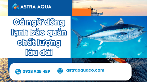 Cá ngừ đông lạnh bảo quản chất lượng