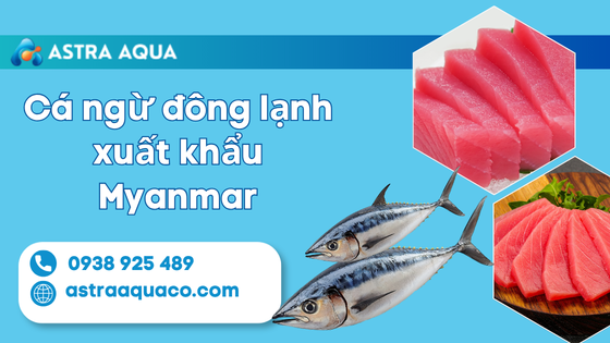 Cá ngừ đông lạnh xuất khẩu Myanmar