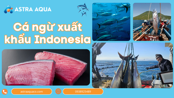 Cá ngừ xuất khẩu Indonesia