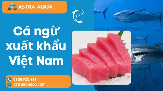 Cá ngừ xuất khẩu Việt Nam