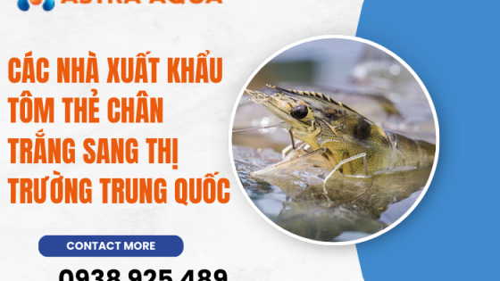 Các nhà xuất khẩu tôm thẻ chân trắng sang thị trường Trung Quốc