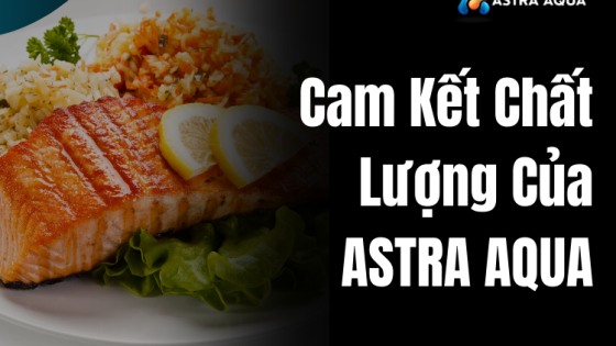 Cam Kết Chất Lượng Của ASTRA AQUA