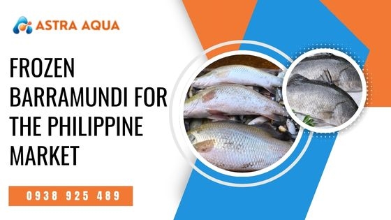 Cá chẽm đông lạnh cho thị trường Philippines