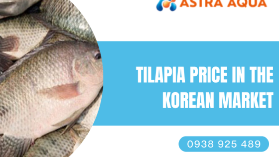 Giá cá rô phi trên thị trường Hàn Quốc