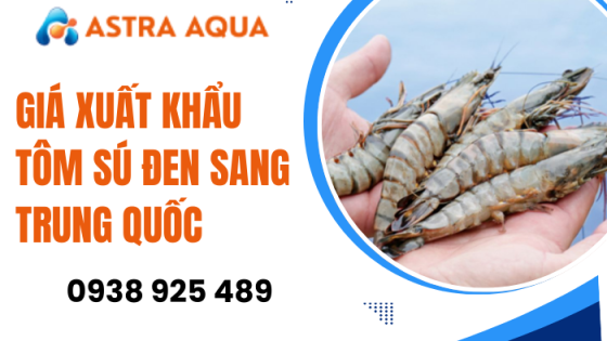 Giá xuất khẩu tôm sú đen sang Trung Quốc