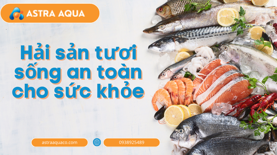Hải sản tươi sống an toàn cho sức khỏe