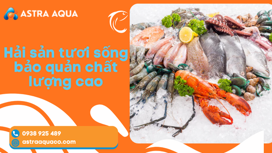 Hải sản tươi sống bảo quản chất lượng cao