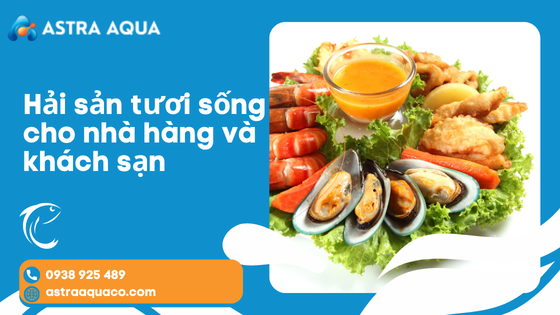 Hải sản tươi sống cho nhà hàng và khách sạn