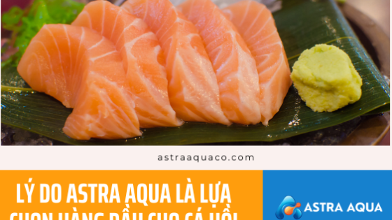 Lý Do ASTRA AQUA Là Lựa Chọn Hàng Đầu Cho Cá Hồi