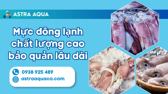 Mực đông lạnh chất lượng cao bảo quản lâu dài