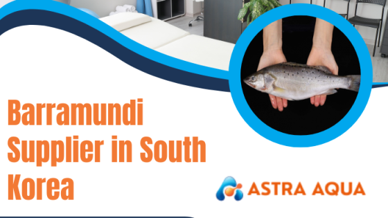 Nhà cung cấp cá chẽm tại Hàn Quốc