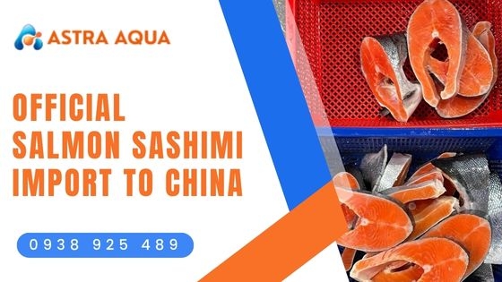 Nhập khẩu sashimi cá hồi chính thức vào Trung Quốc