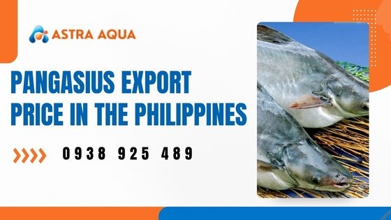 Giá xuất khẩu cá basa tại Philippines
