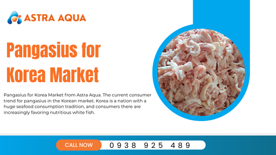 Cá basa cho thị trường Hàn Quốc