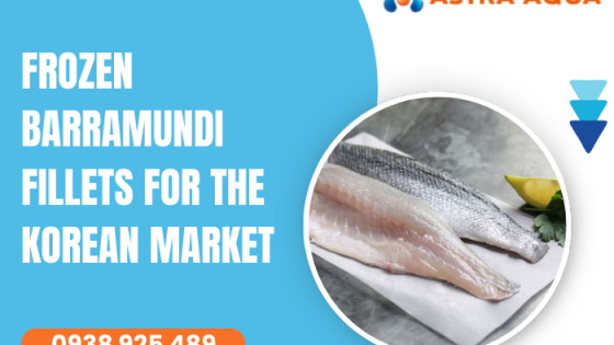 Phi lê cá chẽm đông lạnh dành cho thị trường Hàn Quốc