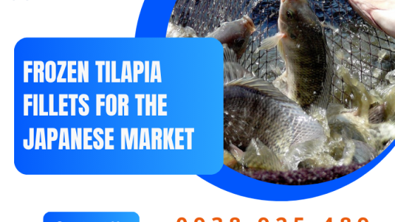 Phi lê cá rô phi đông lạnh dành cho thị trường Nhật Bản