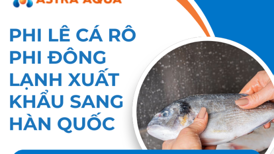 Phi lê cá rô phi đông lạnh xuất khẩu sang Hàn Quốc