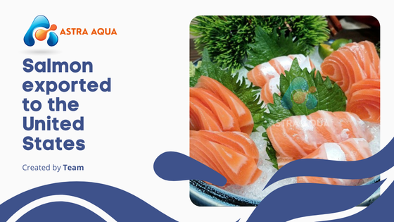 Cá hồi xuất khẩu Mỹ