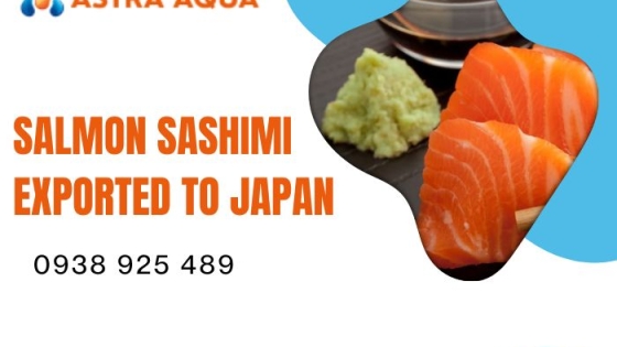 Sashimi cá hồi xuất khẩu sang Nhật Bản