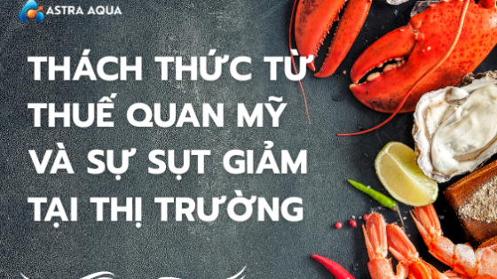 Thách thức từ thuế quan Mỹ và sự sụt giảm tại thị trường này