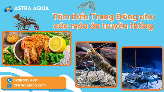 Tôm biển Trung Đông cho các món ăn truyền thống