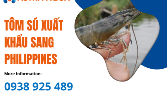 Tôm sú xuất khẩu sang Philippines