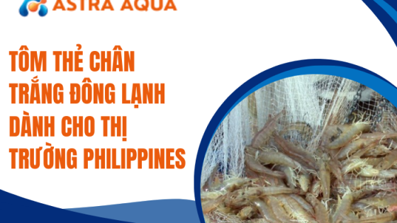 Tôm thẻ chân trắng đông lạnh dành cho thị trường Philippines